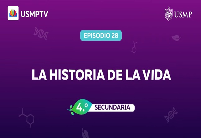 Capítulo N° 28 - La Historia de la Vida 